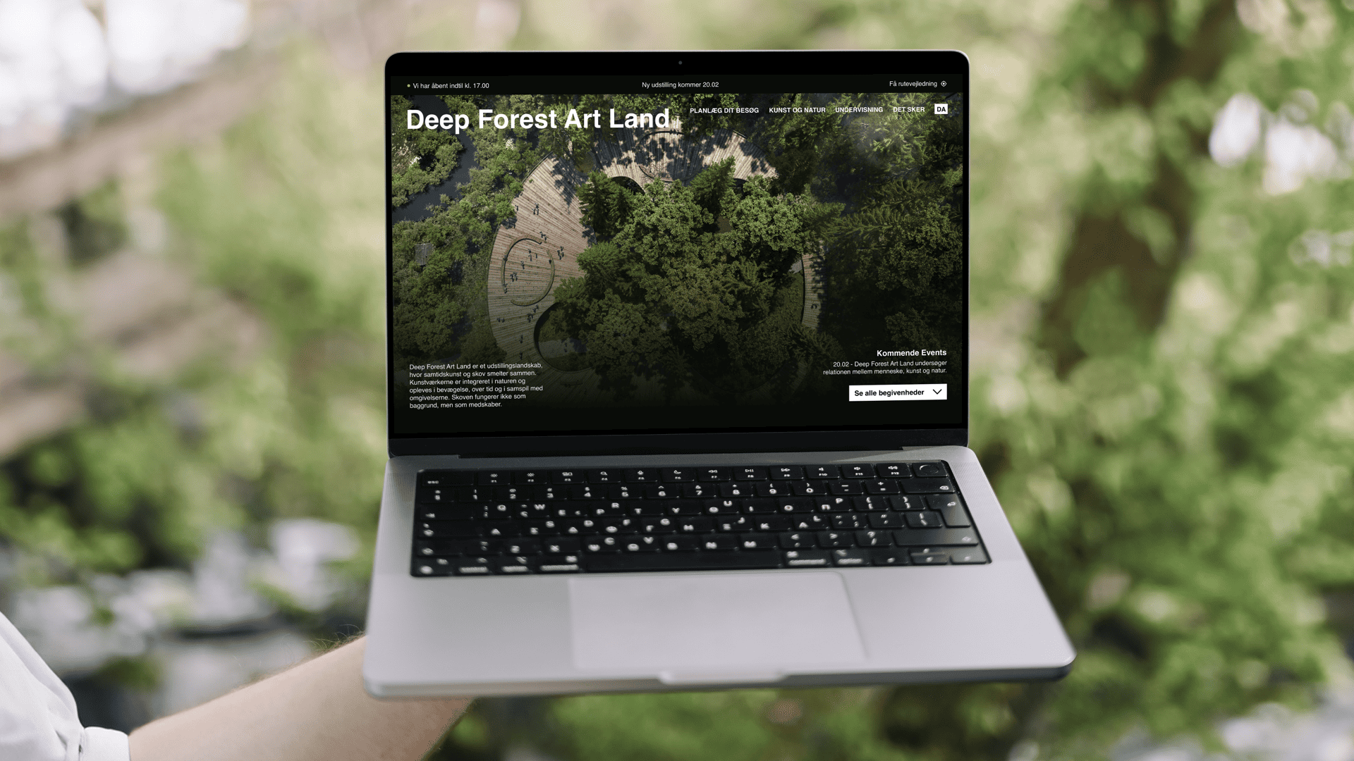 Creative Direction & Digital Experience